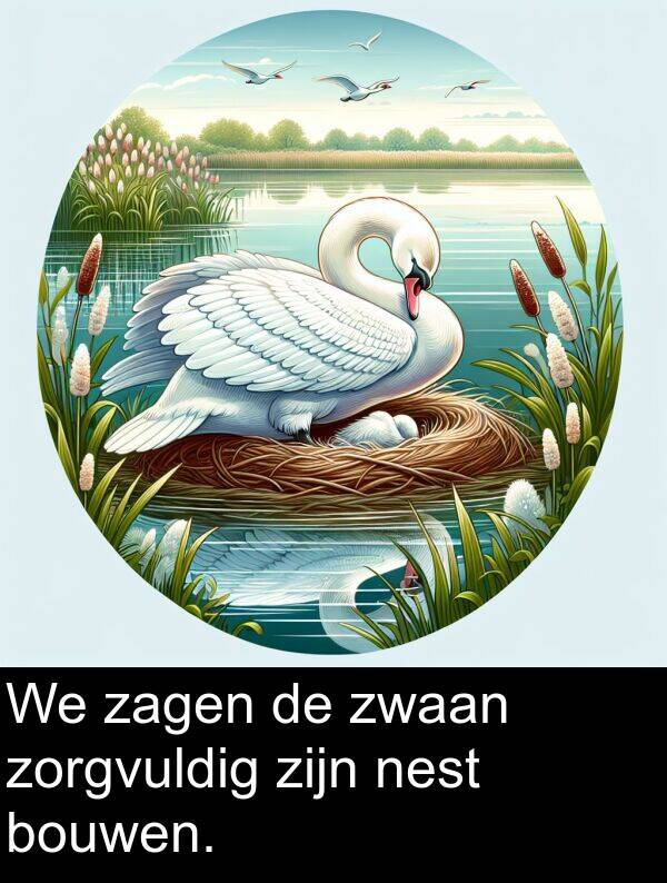 zorgvuldig: We zagen de zwaan zorgvuldig zijn nest bouwen.