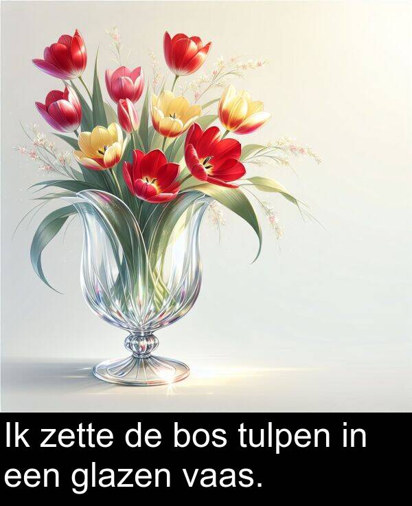 vaas: Ik zette de bos tulpen in een glazen vaas.