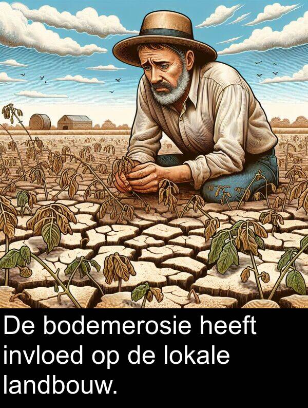 heeft: De bodemerosie heeft invloed op de lokale landbouw.