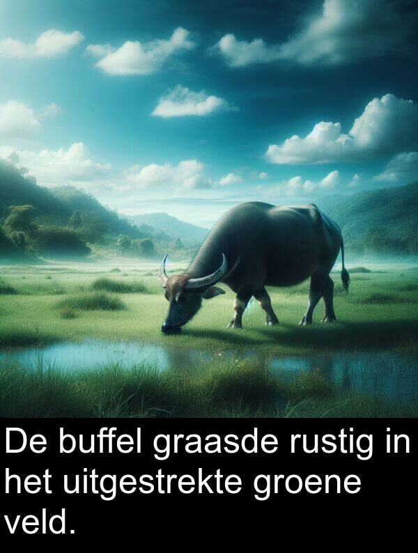 uitgestrekte: De buffel graasde rustig in het uitgestrekte groene veld.