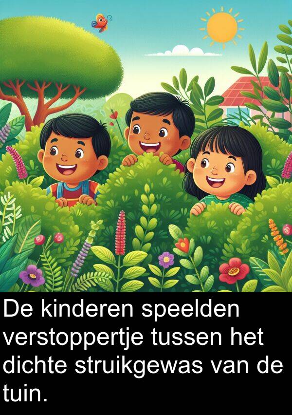 dichte: De kinderen speelden verstoppertje tussen het dichte struikgewas van de tuin.