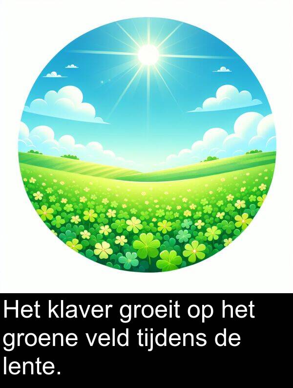 lente: Het klaver groeit op het groene veld tijdens de lente.