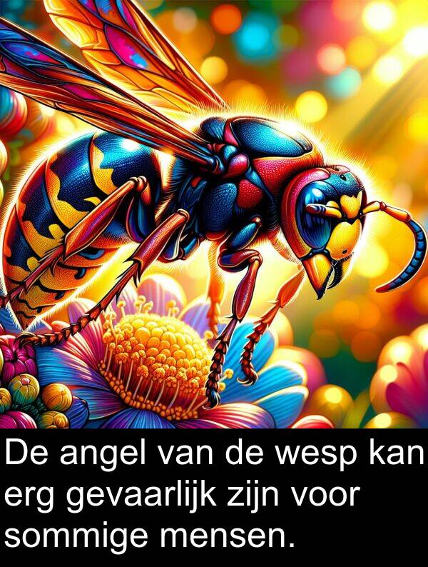 kan: De angel van de wesp kan erg gevaarlijk zijn voor sommige mensen.