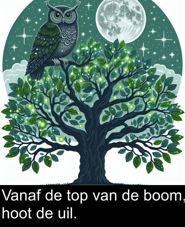 uil: Vanaf de top van de boom, hoot de uil.