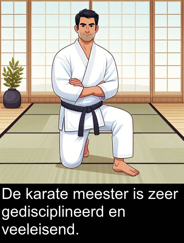 zeer: De karate meester is zeer gedisciplineerd en veeleisend.