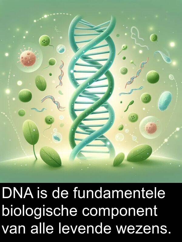 fundamentele: DNA is de fundamentele biologische component van alle levende wezens.