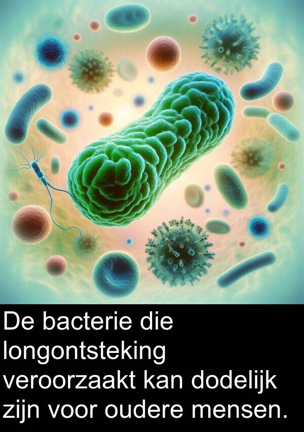 bacterie: De bacterie die longontsteking veroorzaakt kan dodelijk zijn voor oudere mensen.