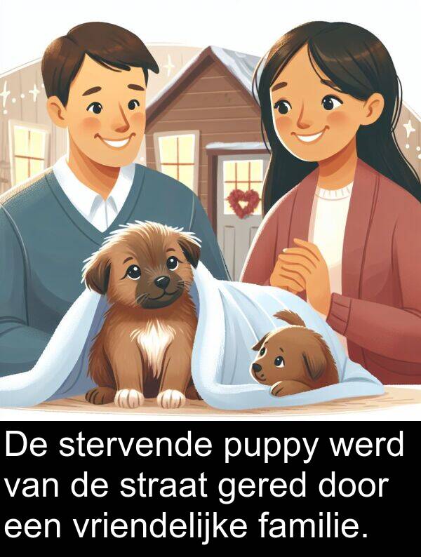 werd: De stervende puppy werd van de straat gered door een vriendelijke familie.