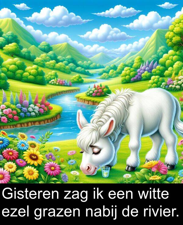 nabij: Gisteren zag ik een witte ezel grazen nabij de rivier.