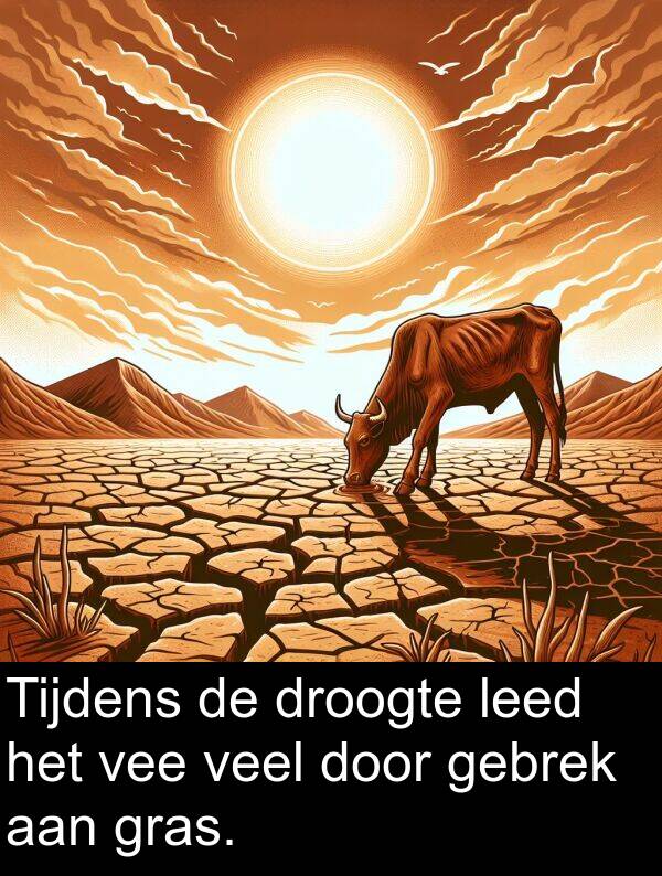 gebrek: Tijdens de droogte leed het vee veel door gebrek aan gras.