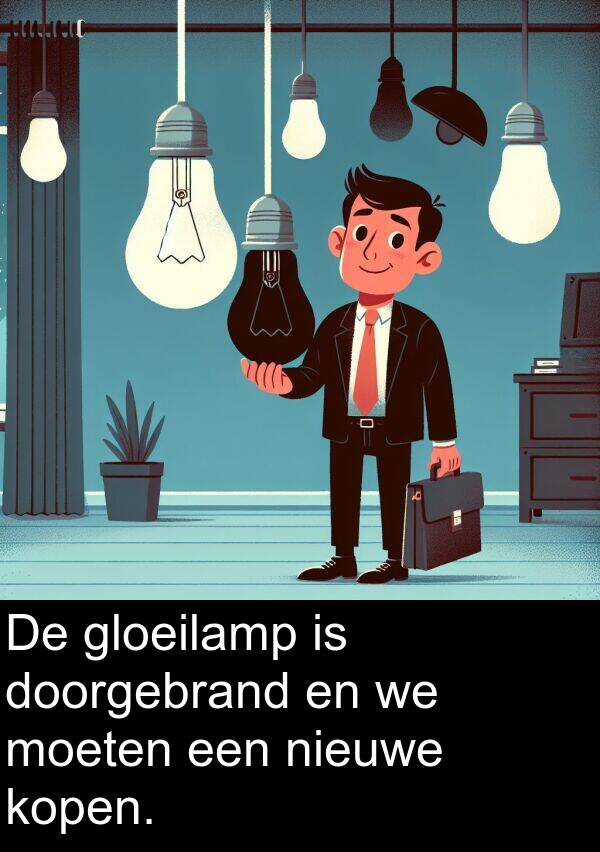 nieuwe: De gloeilamp is doorgebrand en we moeten een nieuwe kopen.