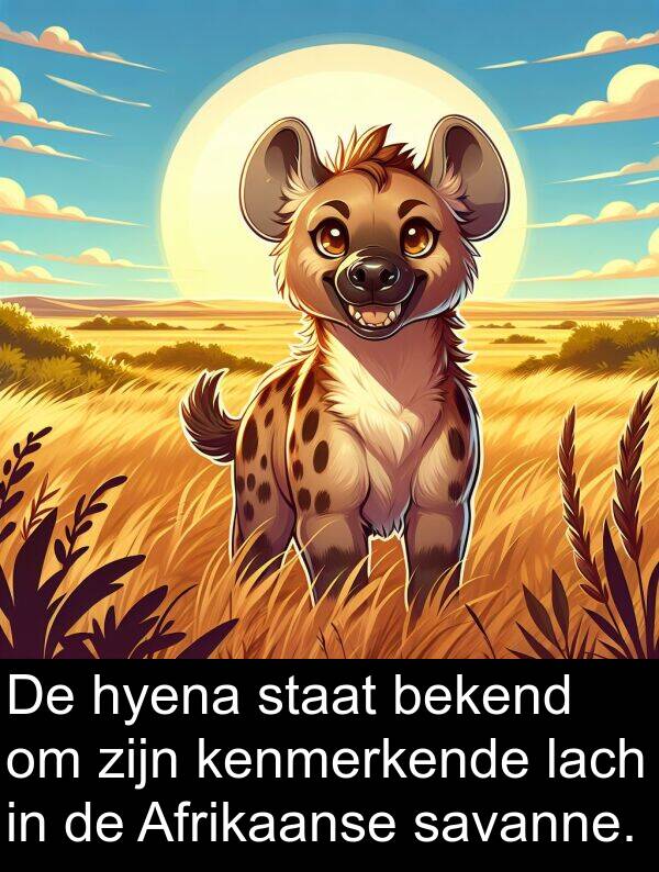 savanne: De hyena staat bekend om zijn kenmerkende lach in de Afrikaanse savanne.