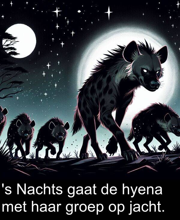 haar: 's Nachts gaat de hyena met haar groep op jacht.