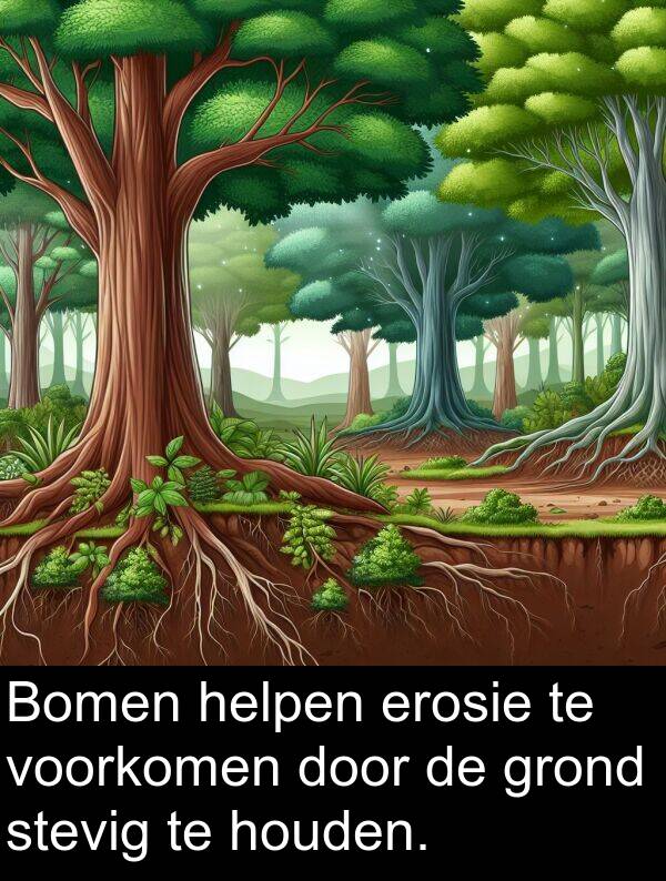 helpen: Bomen helpen erosie te voorkomen door de grond stevig te houden.