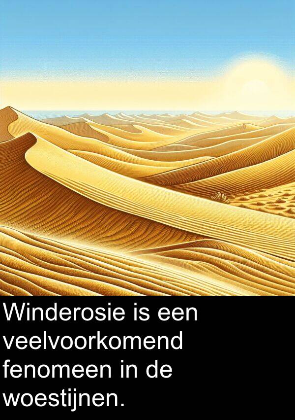 veelvoorkomend: Winderosie is een veelvoorkomend fenomeen in de woestijnen.