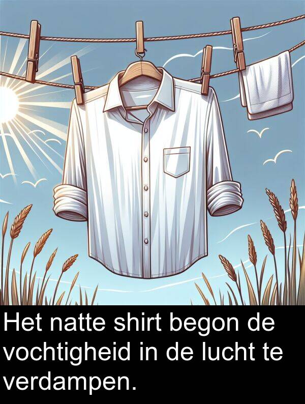 natte: Het natte shirt begon de vochtigheid in de lucht te verdampen.