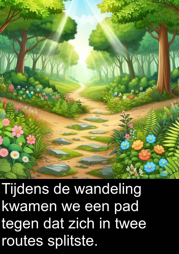 wandeling: Tijdens de wandeling kwamen we een pad tegen dat zich in twee routes splitste.