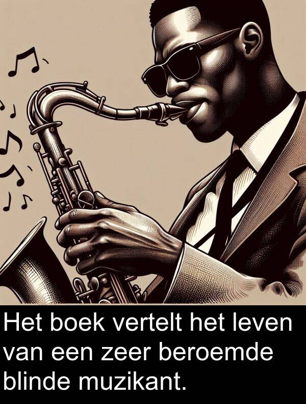 leven: Het boek vertelt het leven van een zeer beroemde blinde muzikant.