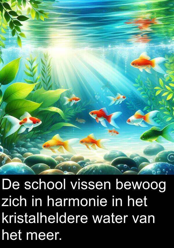 harmonie: De school vissen bewoog zich in harmonie in het kristalheldere water van het meer.