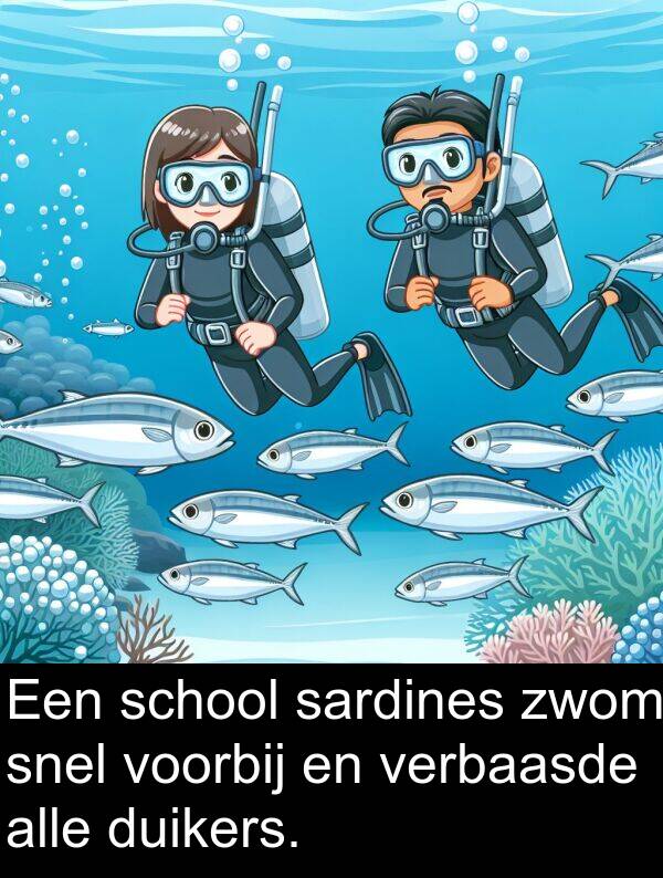 verbaasde: Een school sardines zwom snel voorbij en verbaasde alle duikers.