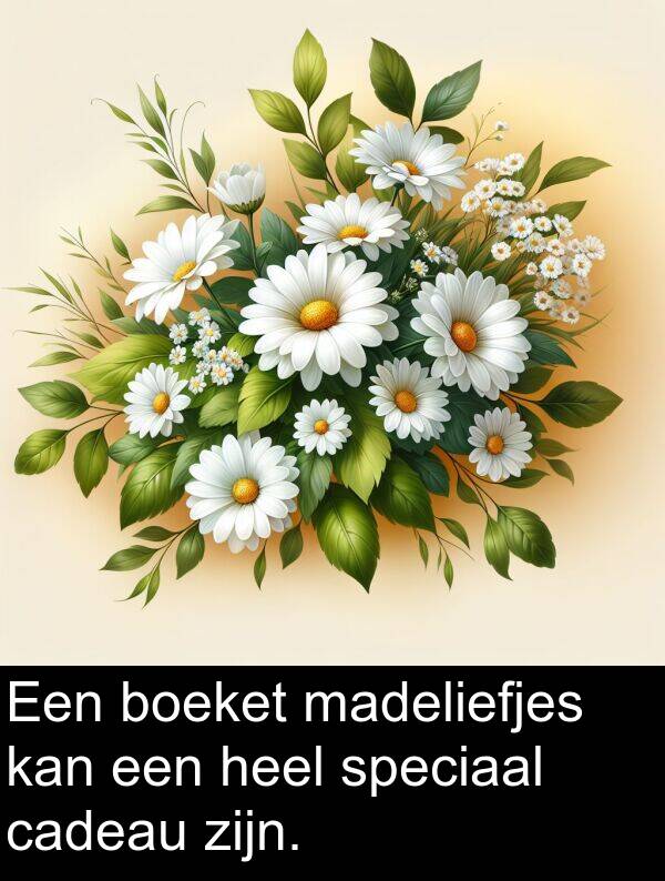 cadeau: Een boeket madeliefjes kan een heel speciaal cadeau zijn.