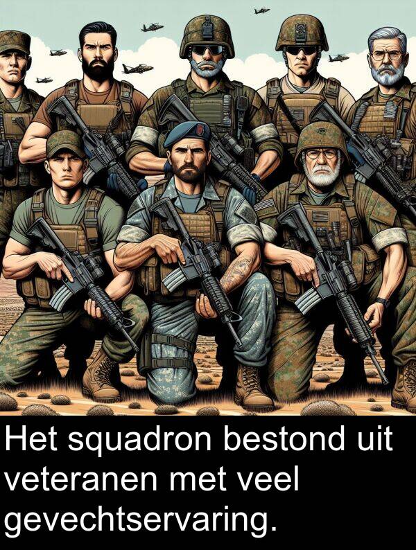 veel: Het squadron bestond uit veteranen met veel gevechtservaring.