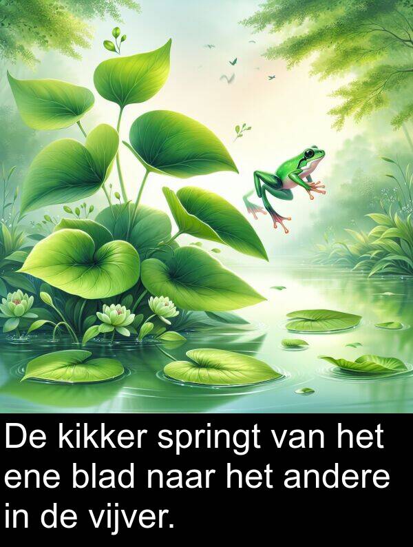 kikker: De kikker springt van het ene blad naar het andere in de vijver.