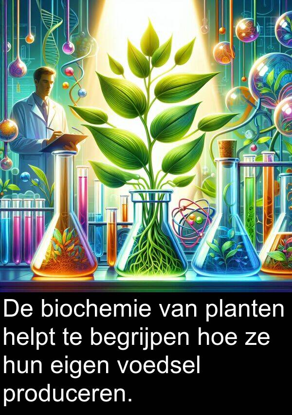 eigen: De biochemie van planten helpt te begrijpen hoe ze hun eigen voedsel produceren.