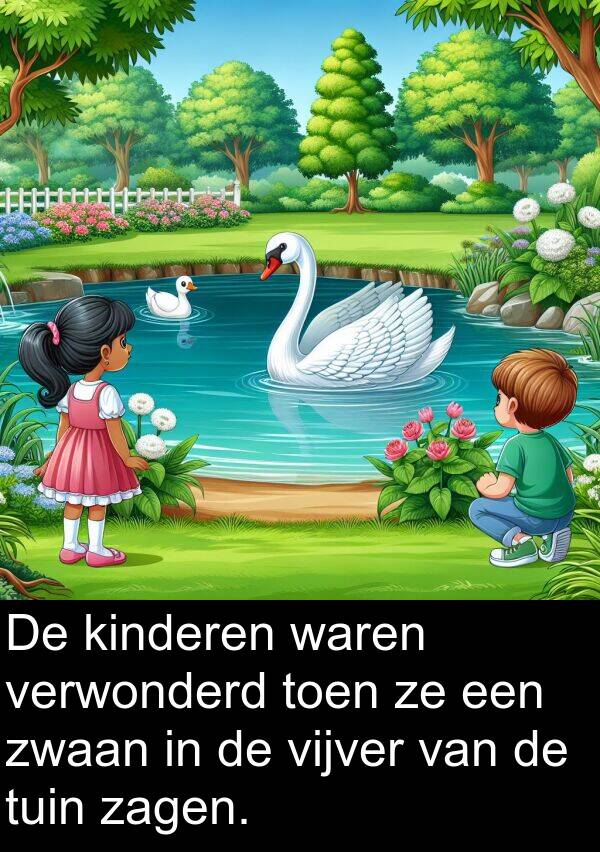 kinderen: De kinderen waren verwonderd toen ze een zwaan in de vijver van de tuin zagen.