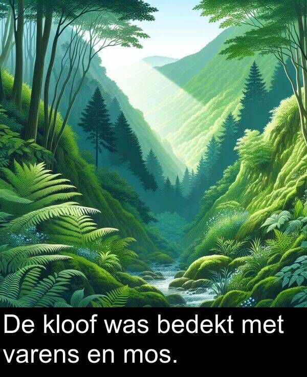 was: De kloof was bedekt met varens en mos.