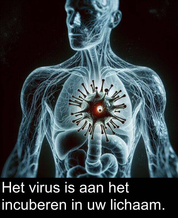 aan: Het virus is aan het incuberen in uw lichaam.