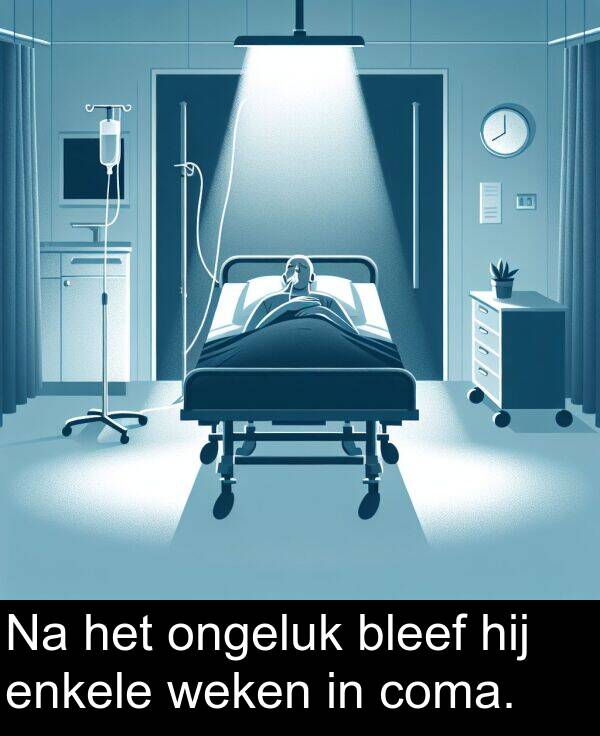 enkele: Na het ongeluk bleef hij enkele weken in coma.