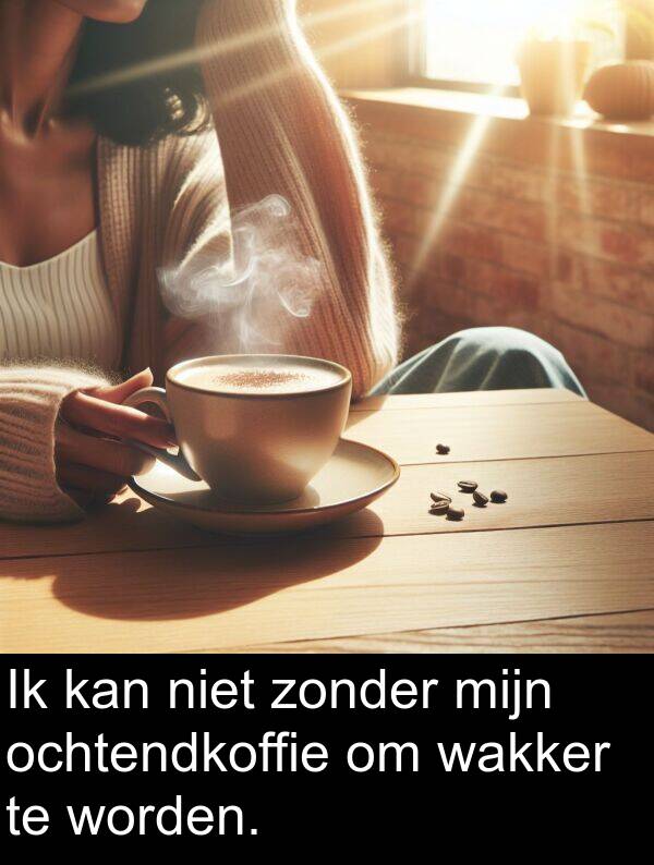 zonder: Ik kan niet zonder mijn ochtendkoffie om wakker te worden.