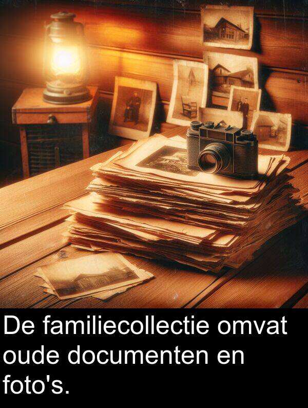 omvat: De familiecollectie omvat oude documenten en foto's.