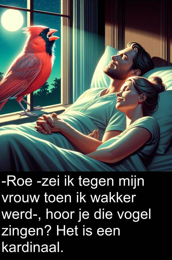 werd: -Roe -zei ik tegen mijn vrouw toen ik wakker werd-, hoor je die vogel zingen? Het is een kardinaal.