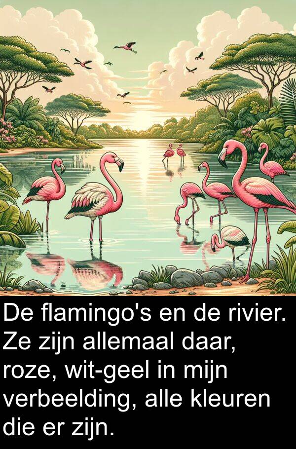 verbeelding: De flamingo's en de rivier. Ze zijn allemaal daar, roze, wit-geel in mijn verbeelding, alle kleuren die er zijn.