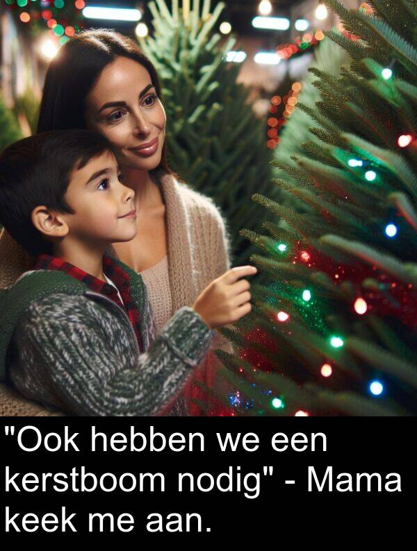 hebben: "Ook hebben we een kerstboom nodig" - Mama keek me aan.