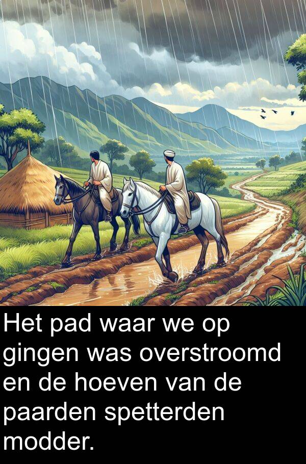 waar: Het pad waar we op gingen was overstroomd en de hoeven van de paarden spetterden modder.