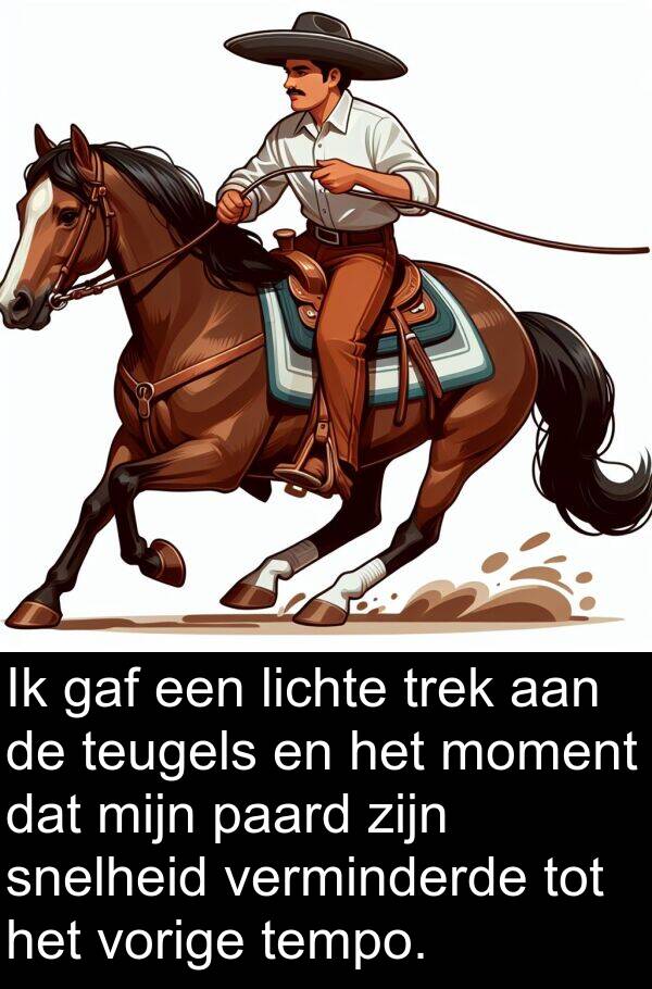 gaf: Ik gaf een lichte trek aan de teugels en het moment dat mijn paard zijn snelheid verminderde tot het vorige tempo.