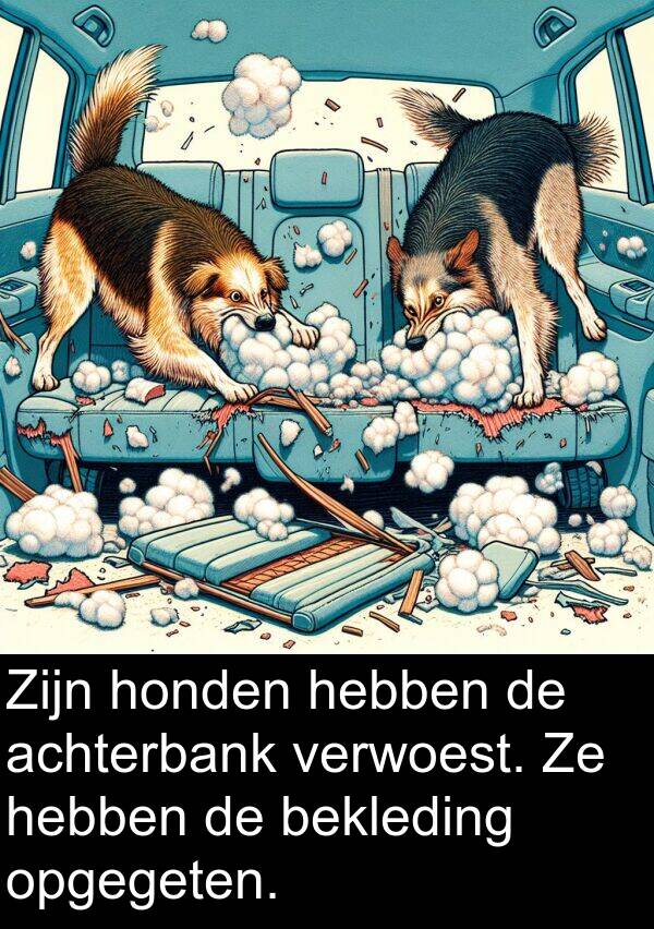 achterbank: Zijn honden hebben de achterbank verwoest. Ze hebben de bekleding opgegeten.