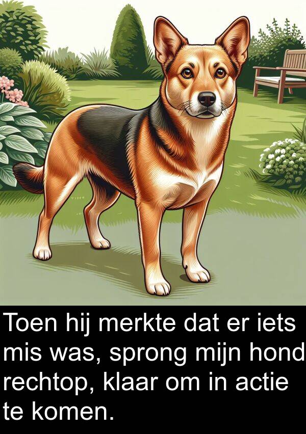 iets: Toen hij merkte dat er iets mis was, sprong mijn hond rechtop, klaar om in actie te komen.