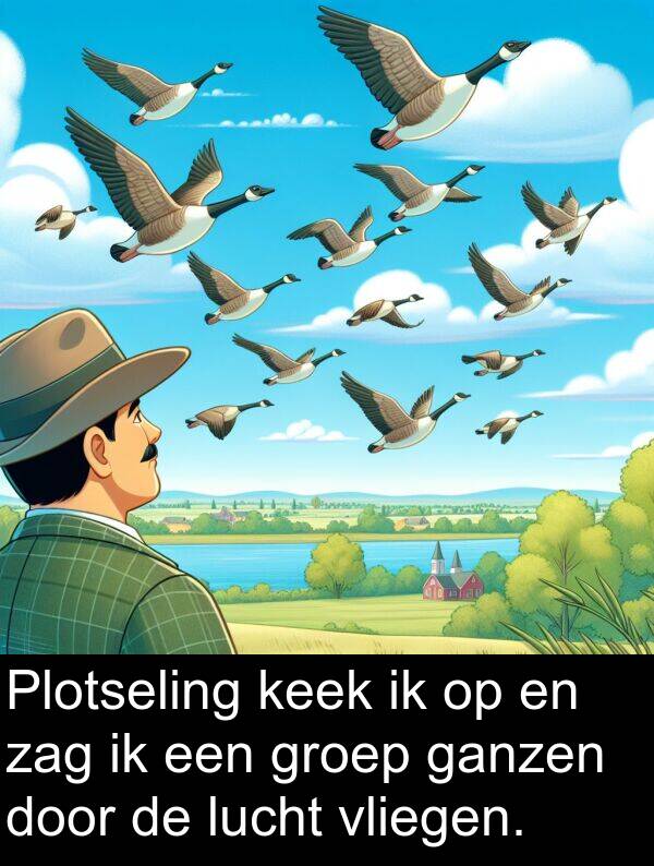 ganzen: Plotseling keek ik op en zag ik een groep ganzen door de lucht vliegen.