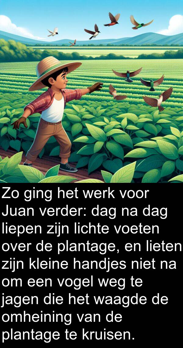 weg: Zo ging het werk voor Juan verder: dag na dag liepen zijn lichte voeten over de plantage, en lieten zijn kleine handjes niet na om een vogel weg te jagen die het waagde de omheining van de plantage te kruisen.