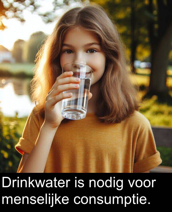 nodig: Drinkwater is nodig voor menselijke consumptie.