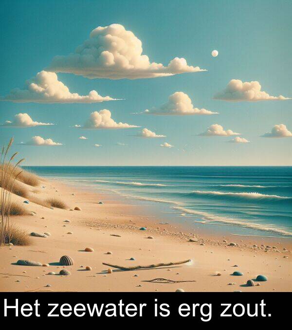 zeewater: Het zeewater is erg zout.