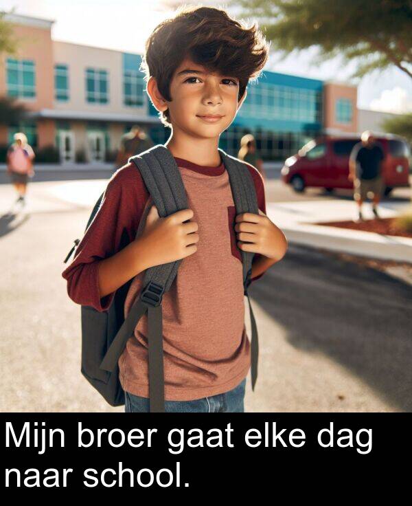 elke: Mijn broer gaat elke dag naar school.