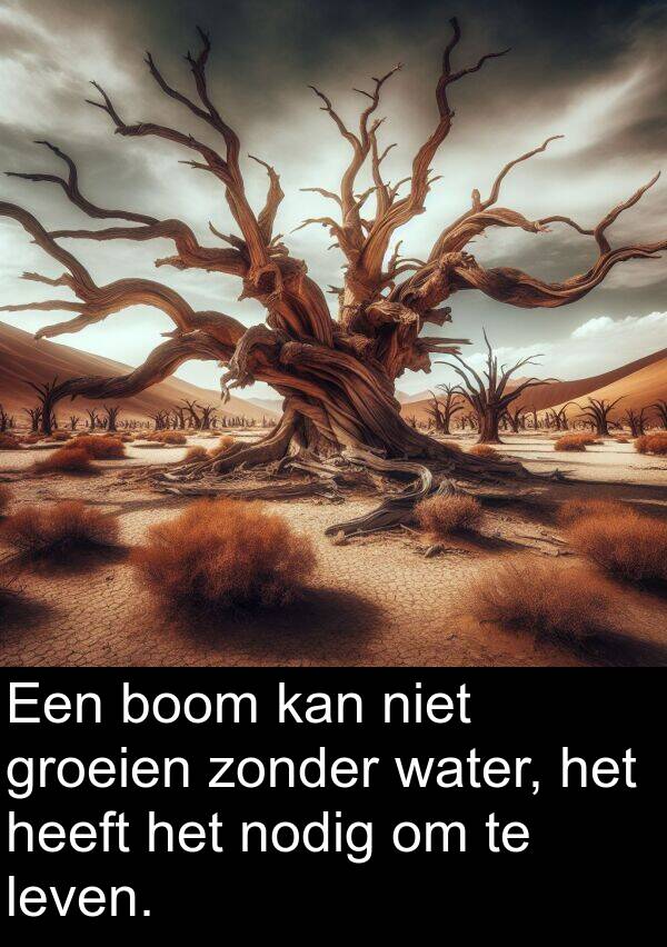 zonder: Een boom kan niet groeien zonder water, het heeft het nodig om te leven.