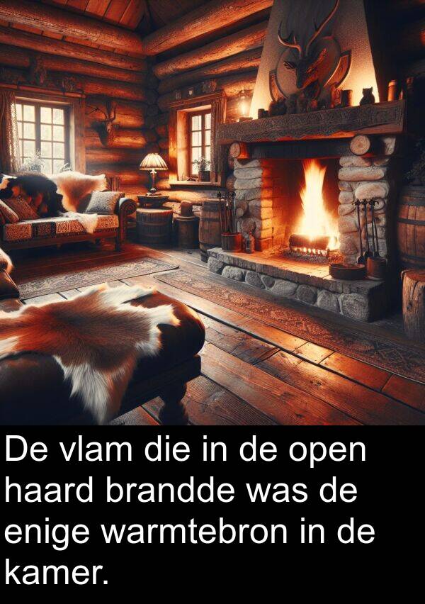 enige: De vlam die in de open haard brandde was de enige warmtebron in de kamer.