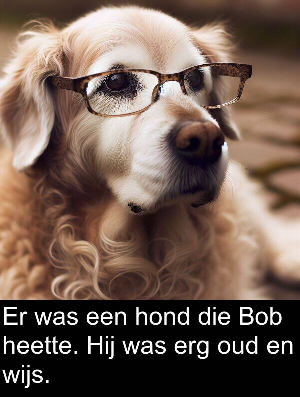 heette: Er was een hond die Bob heette. Hij was erg oud en wijs.