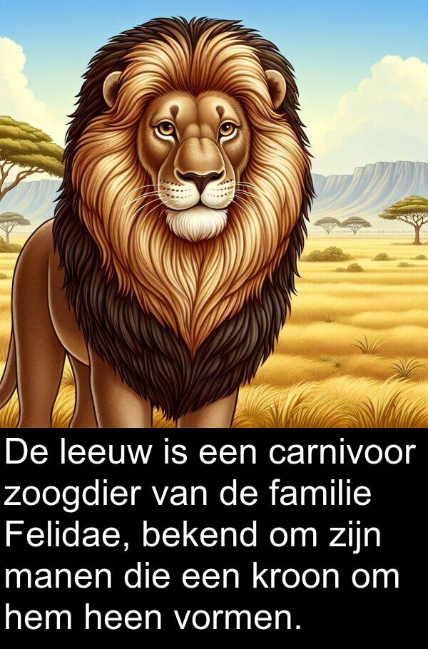 leeuw: De leeuw is een carnivoor zoogdier van de familie Felidae, bekend om zijn manen die een kroon om hem heen vormen.